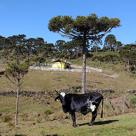 Casa E Cabana De Campo Fazenda Borba Urubici Εξωτερικό φωτογραφία
