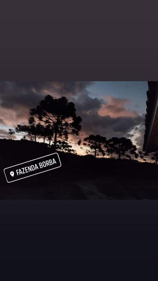Casa E Cabana De Campo Fazenda Borba Urubici Εξωτερικό φωτογραφία