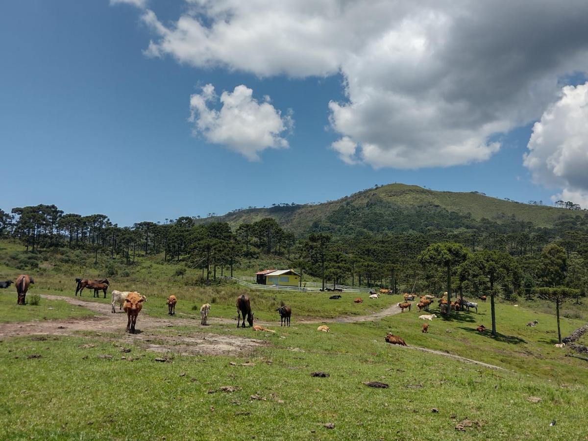 Casa E Cabana De Campo Fazenda Borba Urubici Εξωτερικό φωτογραφία