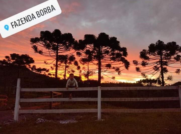 Casa E Cabana De Campo Fazenda Borba Urubici Εξωτερικό φωτογραφία