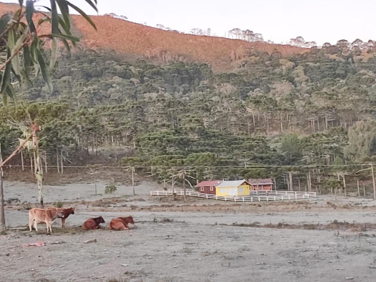 Casa E Cabana De Campo Fazenda Borba Urubici Εξωτερικό φωτογραφία