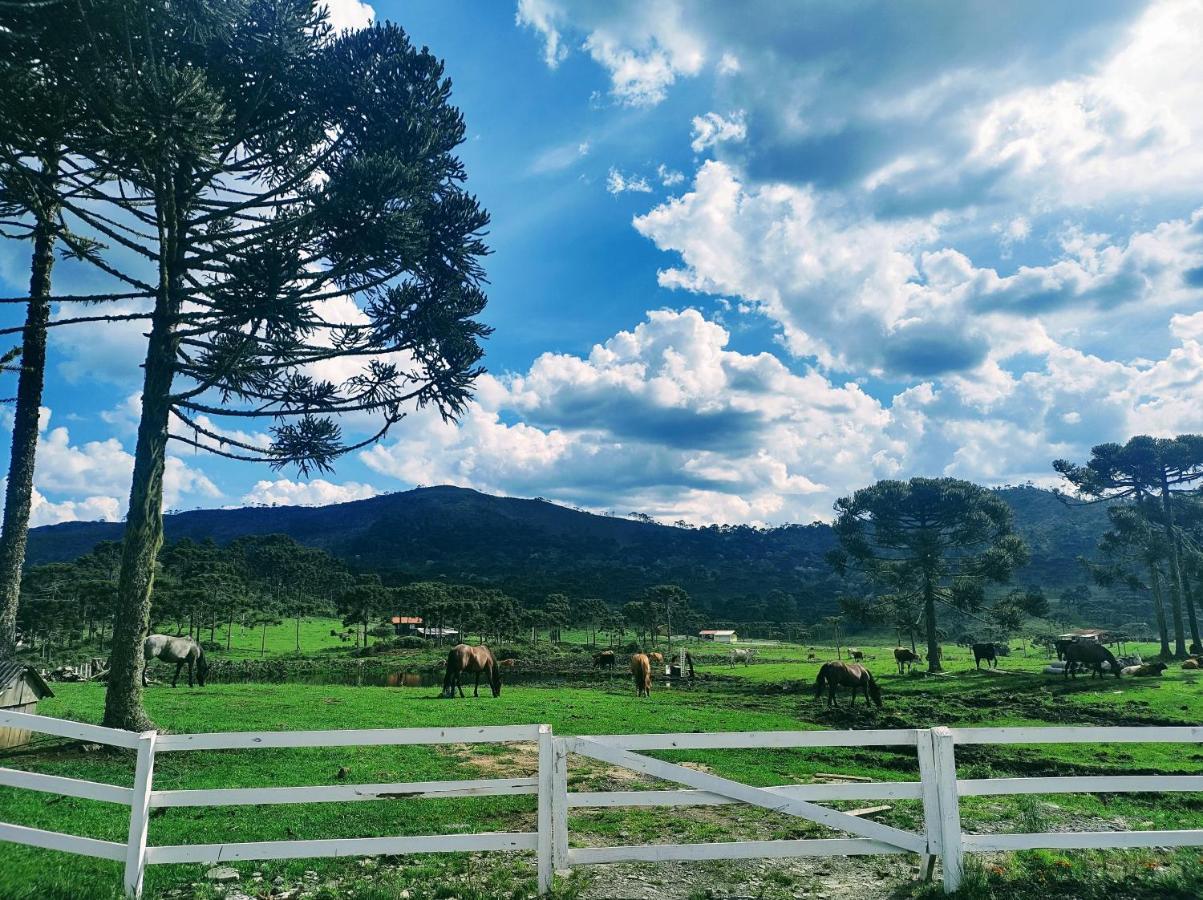 Casa E Cabana De Campo Fazenda Borba Urubici Εξωτερικό φωτογραφία