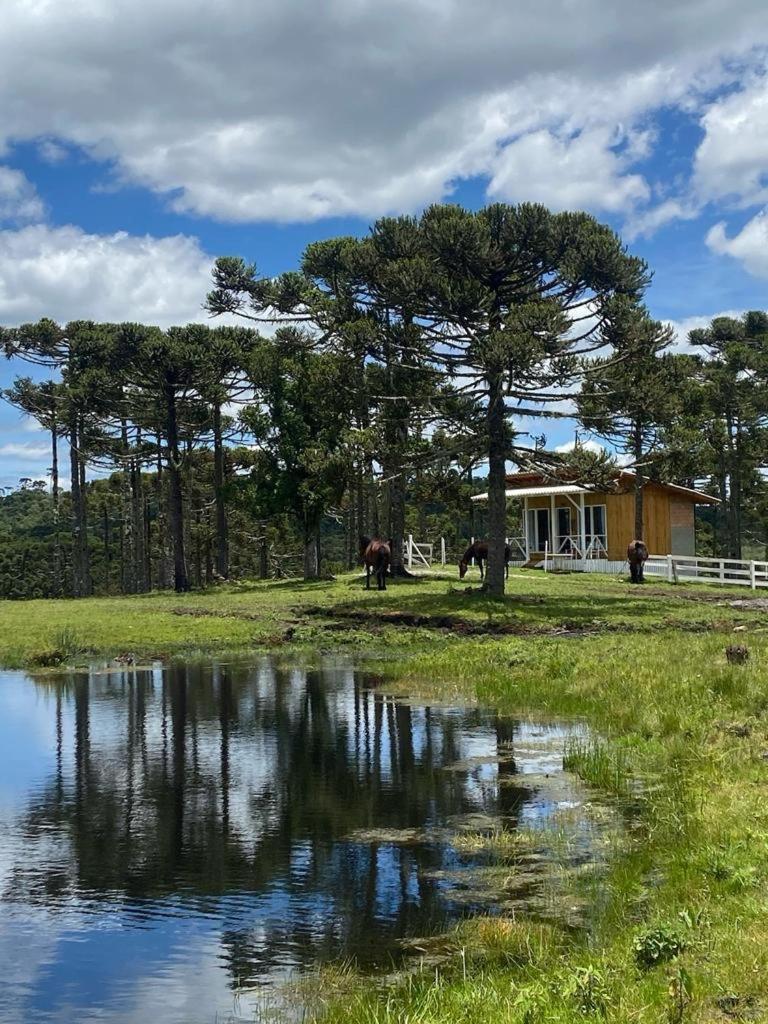 Casa E Cabana De Campo Fazenda Borba Urubici Εξωτερικό φωτογραφία