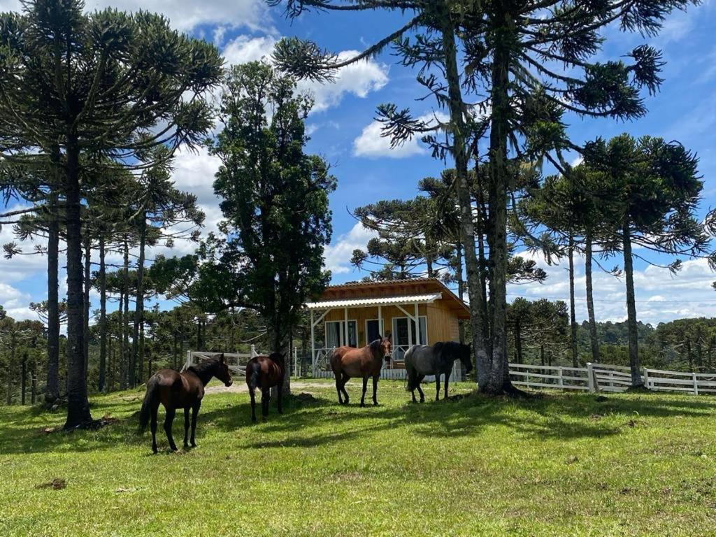 Casa E Cabana De Campo Fazenda Borba Urubici Εξωτερικό φωτογραφία