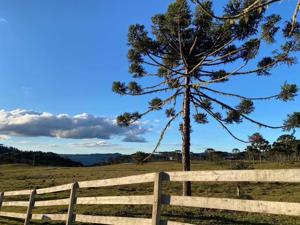 Casa E Cabana De Campo Fazenda Borba Urubici Δωμάτιο φωτογραφία