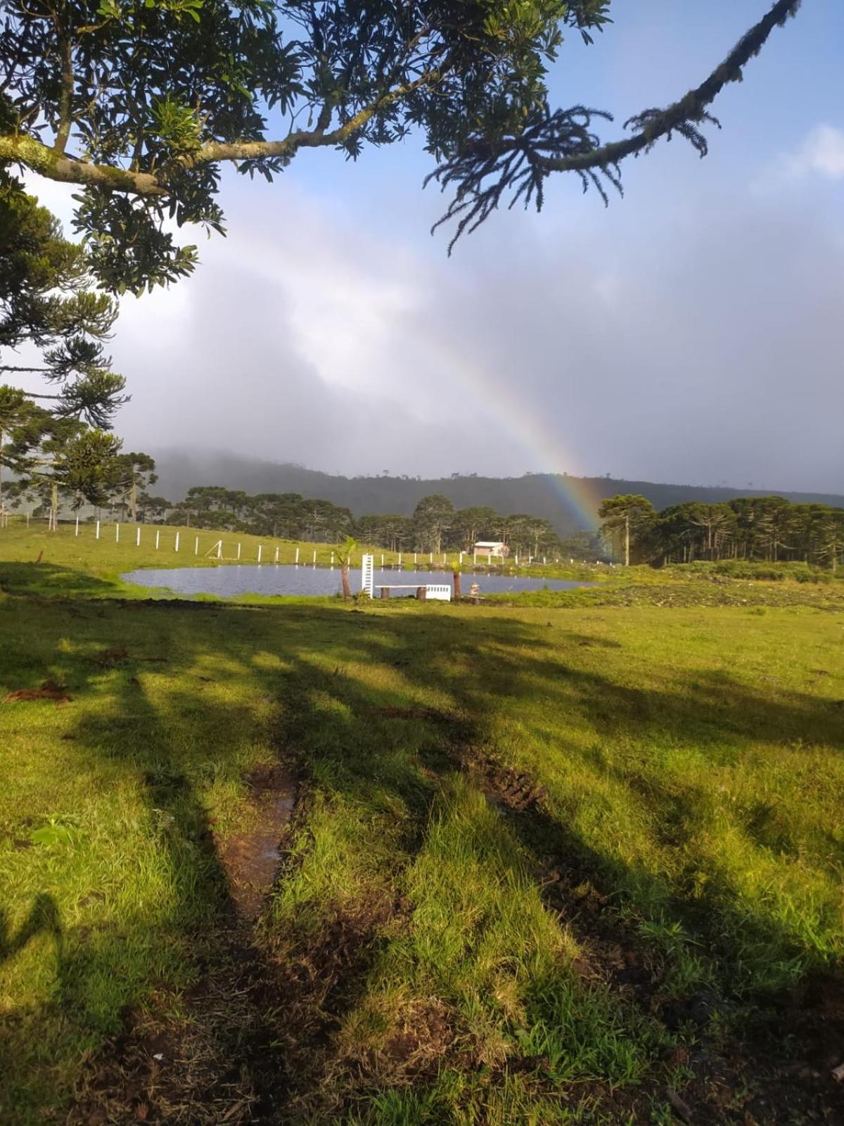 Casa E Cabana De Campo Fazenda Borba Urubici Δωμάτιο φωτογραφία