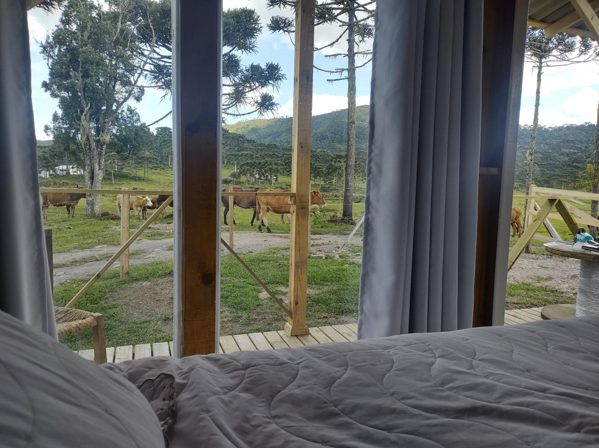 Casa E Cabana De Campo Fazenda Borba Urubici Δωμάτιο φωτογραφία