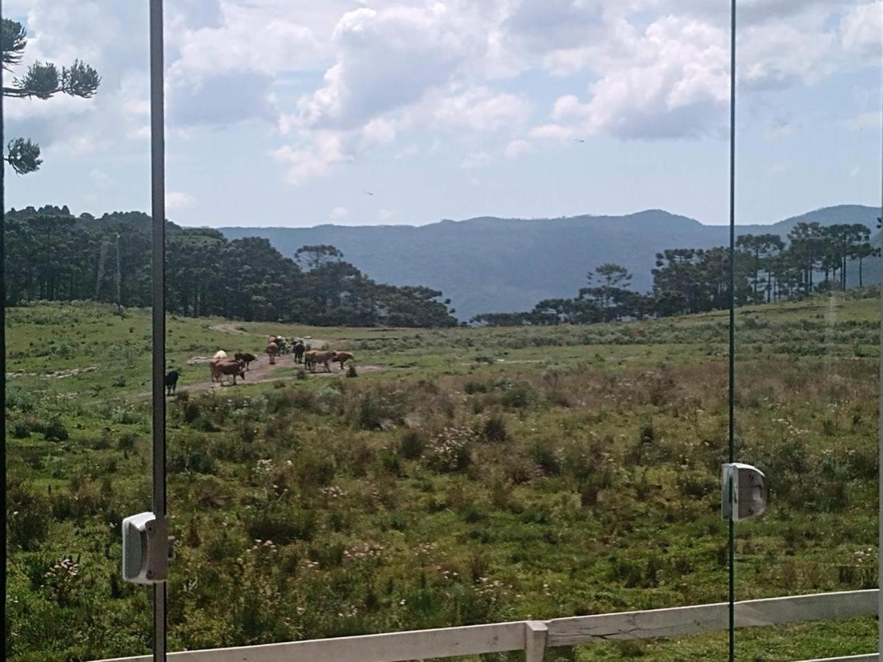Casa E Cabana De Campo Fazenda Borba Urubici Εξωτερικό φωτογραφία